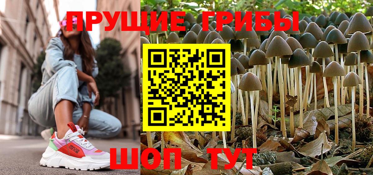 Галлюциногенные грибы Magic Shrooms  как найти закладки  Симферополь  Вход с VPN 